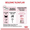 Royal Canin Anne ve Yavru Kedi İçin Konserve 195 G - Görsel 5