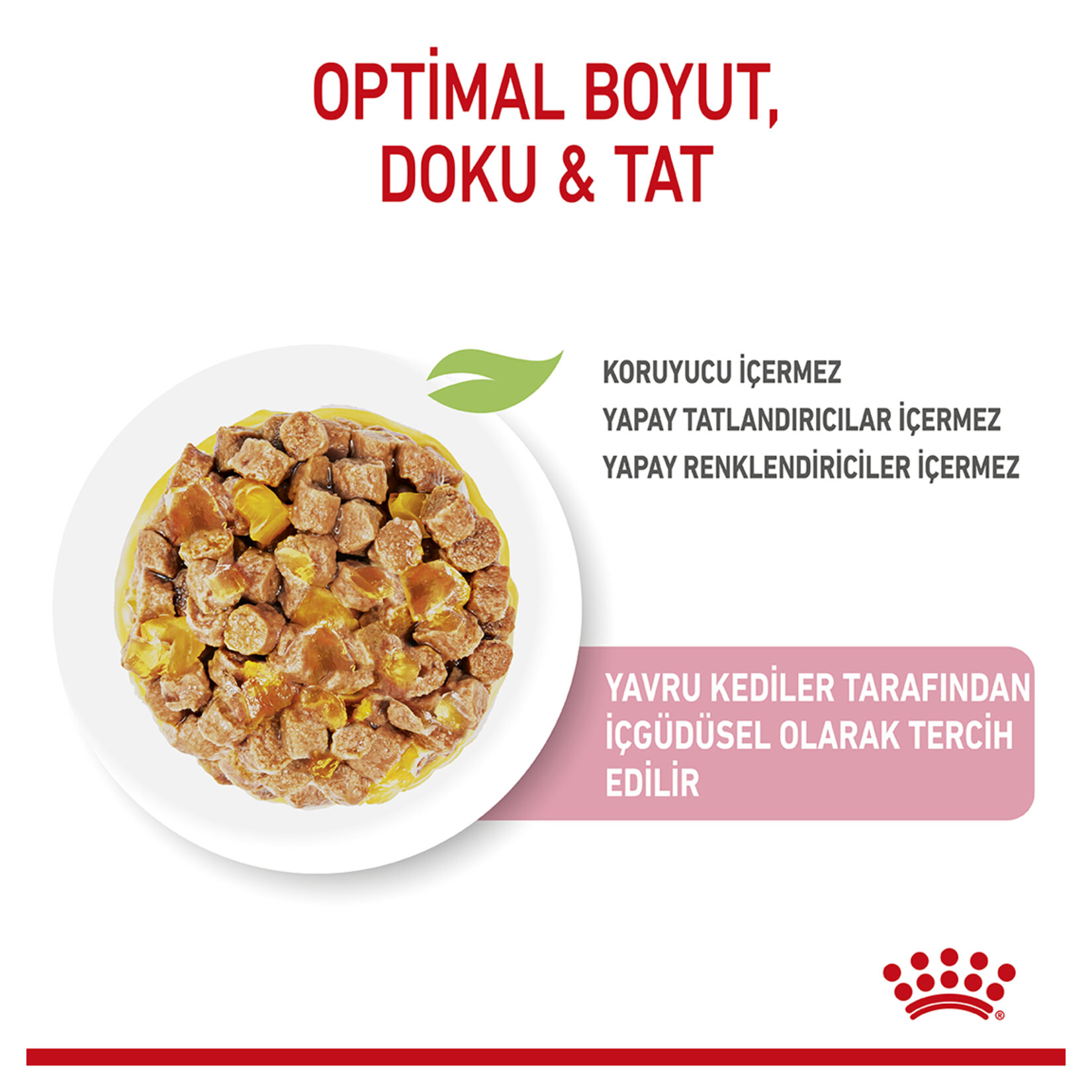 Royal Canin Yavru Kedi Jöle Yaş Maması 12 x 85 G - Görsel 2
