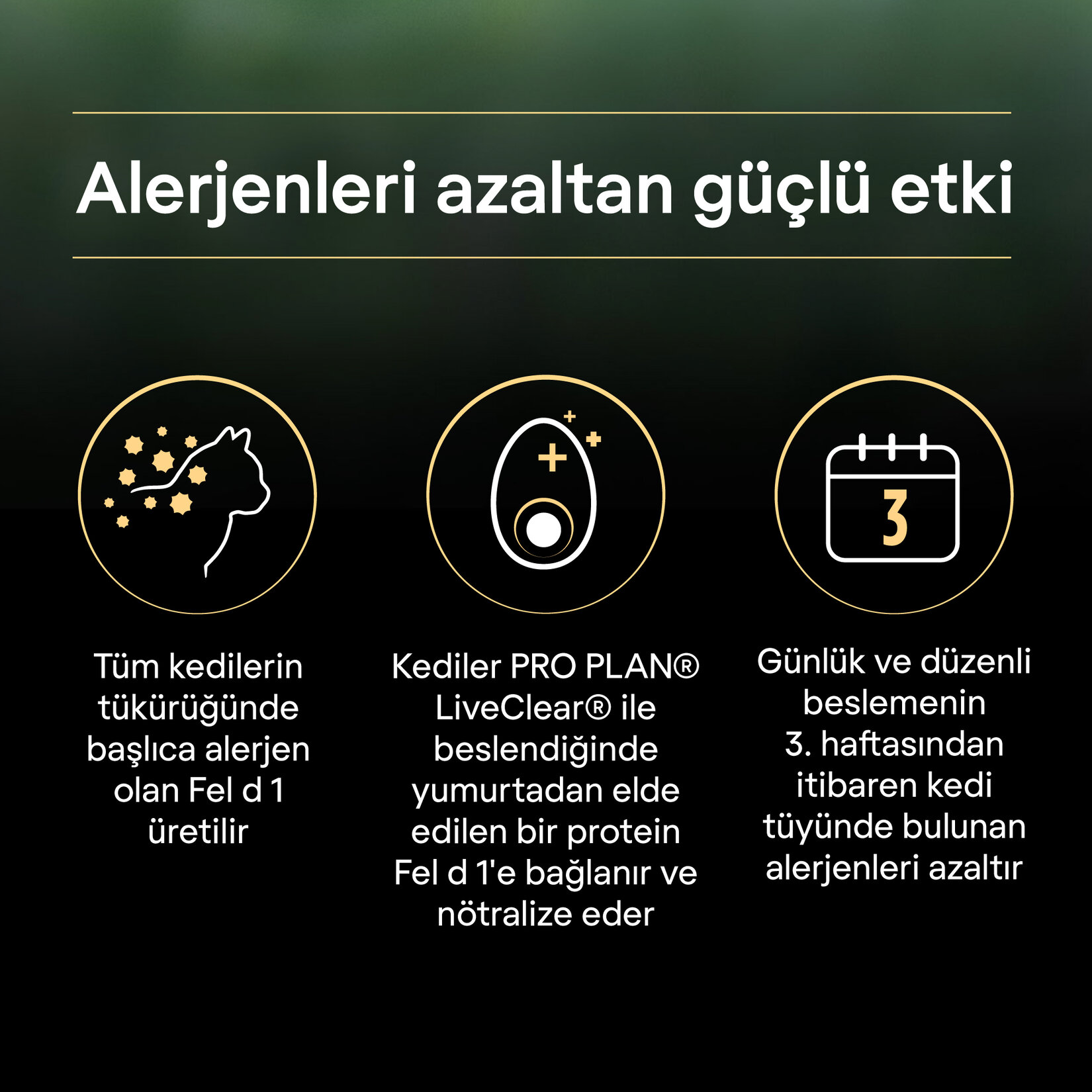 Proplan Liveclear Kısırlaştırılmış Kedi Somonlu 1.4 Kg - Görsel 7