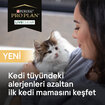Proplan Liveclear Yavru Kedi Hindili Mama 1.4 Kg - Görsel 5