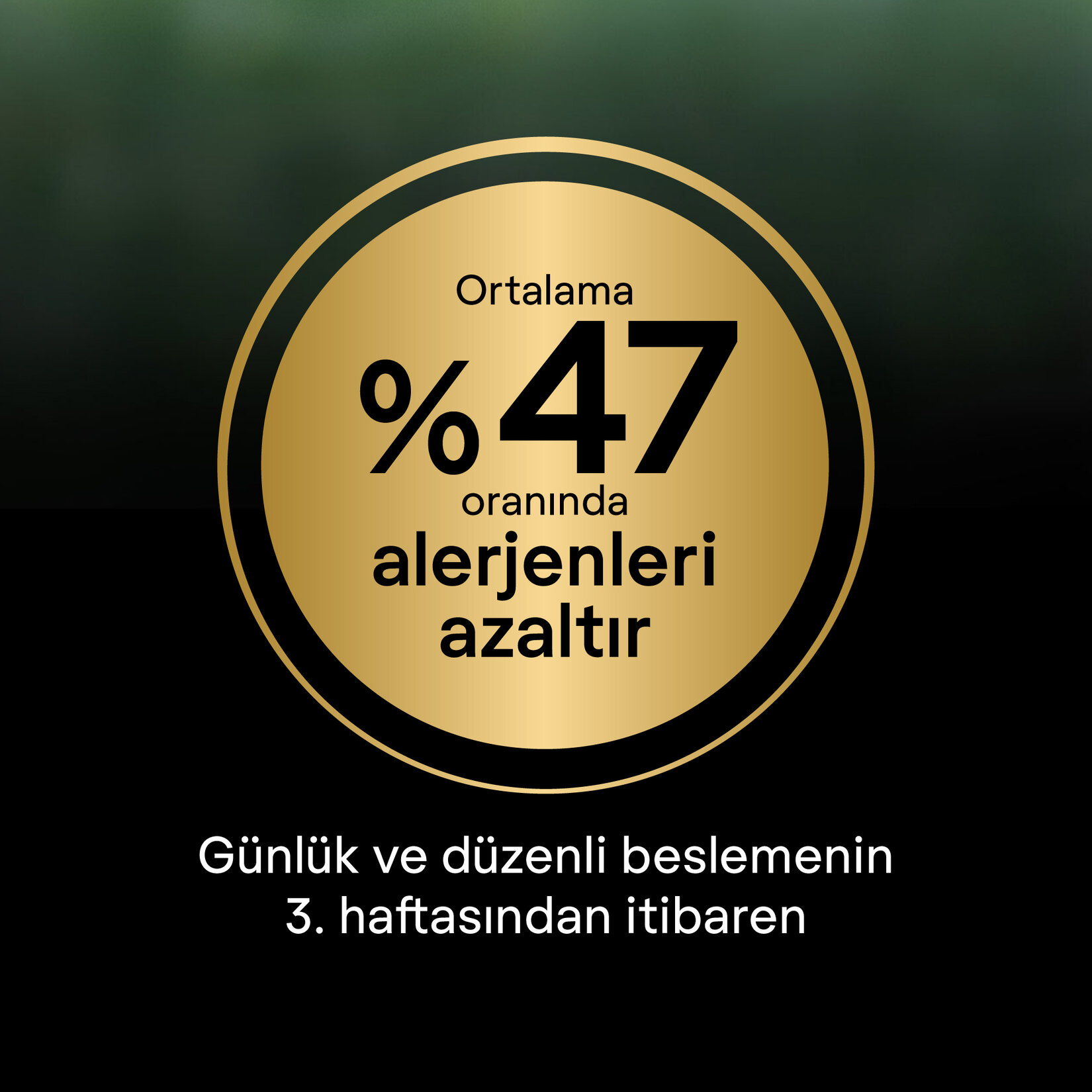 Proplan Liveclear Yavru Kedi Hindili Mama 1.4 Kg - Görsel 6