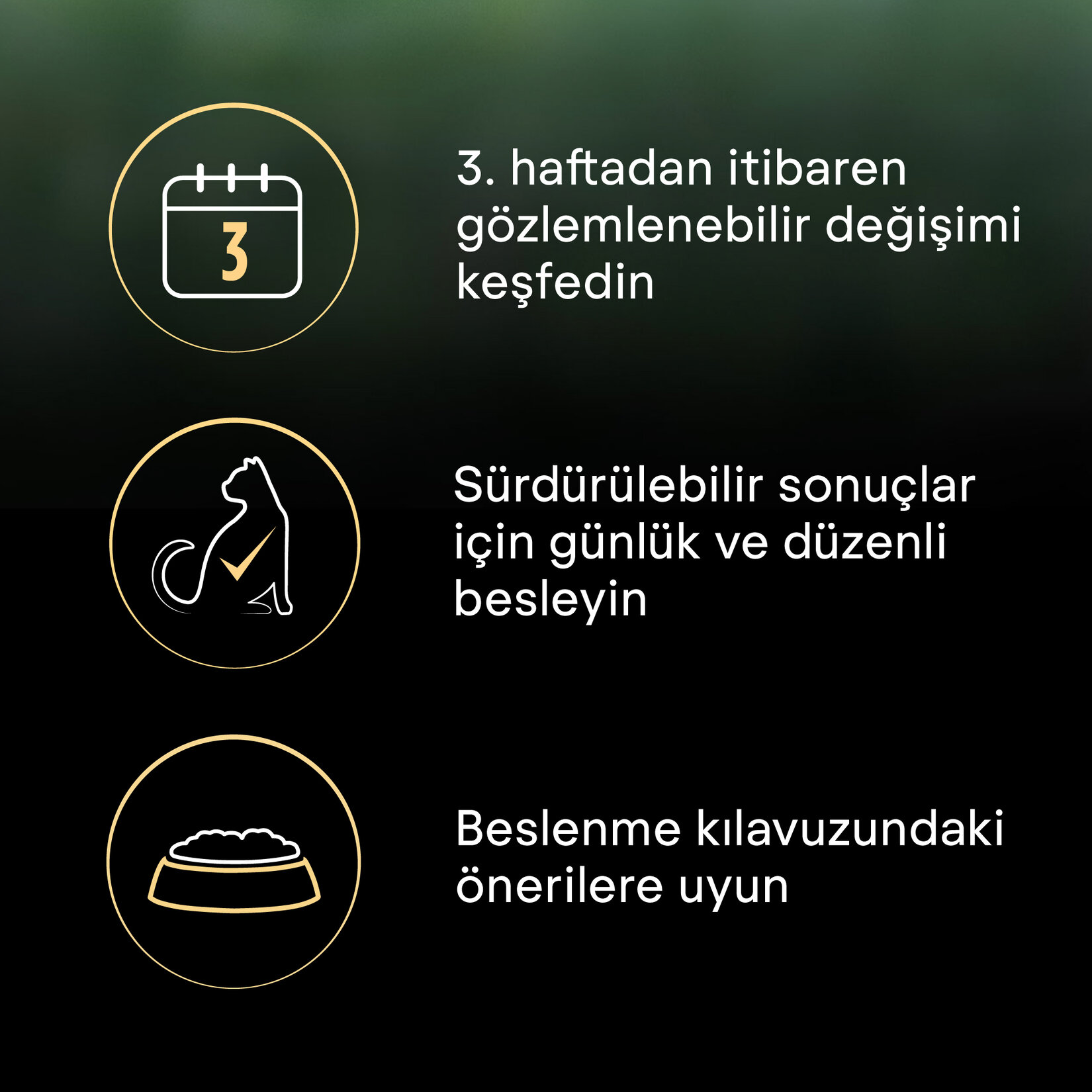 Proplan Liveclear Yavru Kedi Hindili Mama 1.4 Kg - Görsel 9