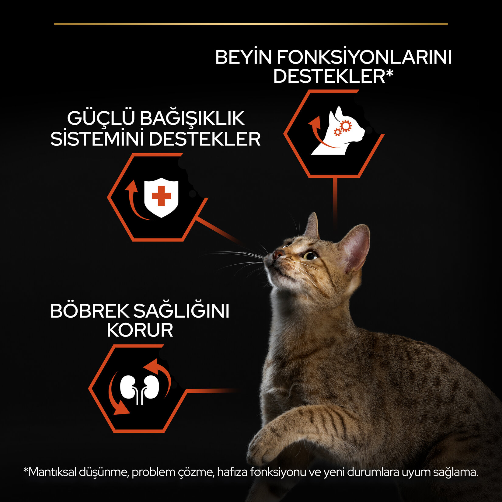 Proplan Yetişkin Kedi Somonlu Kedi Maması 1.5 Kg - Görsel 6