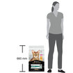 Proplan Yetişkin Kedi Tavuklu Kedi Maması 10 Kg - Görsel 4