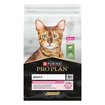 Proplan Yetişkin Kedi Kuzulu Mama 10 Kg - Görsel 2