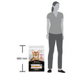 Proplan Somonlu Yetişkin Kedi Maması 10 Kg - Görsel 4