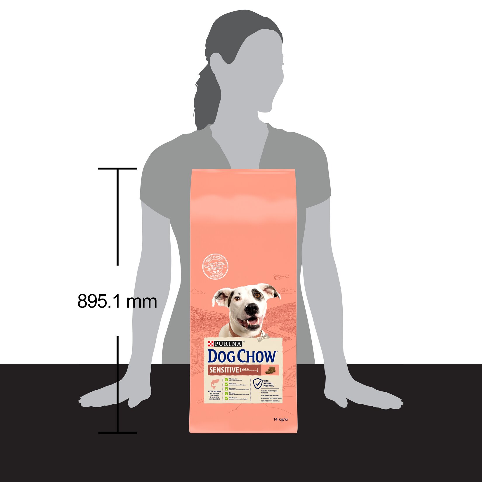 Purina Dog Chow Yetişkin Köpek Somonlu Mama 14 Kg - Görsel 4