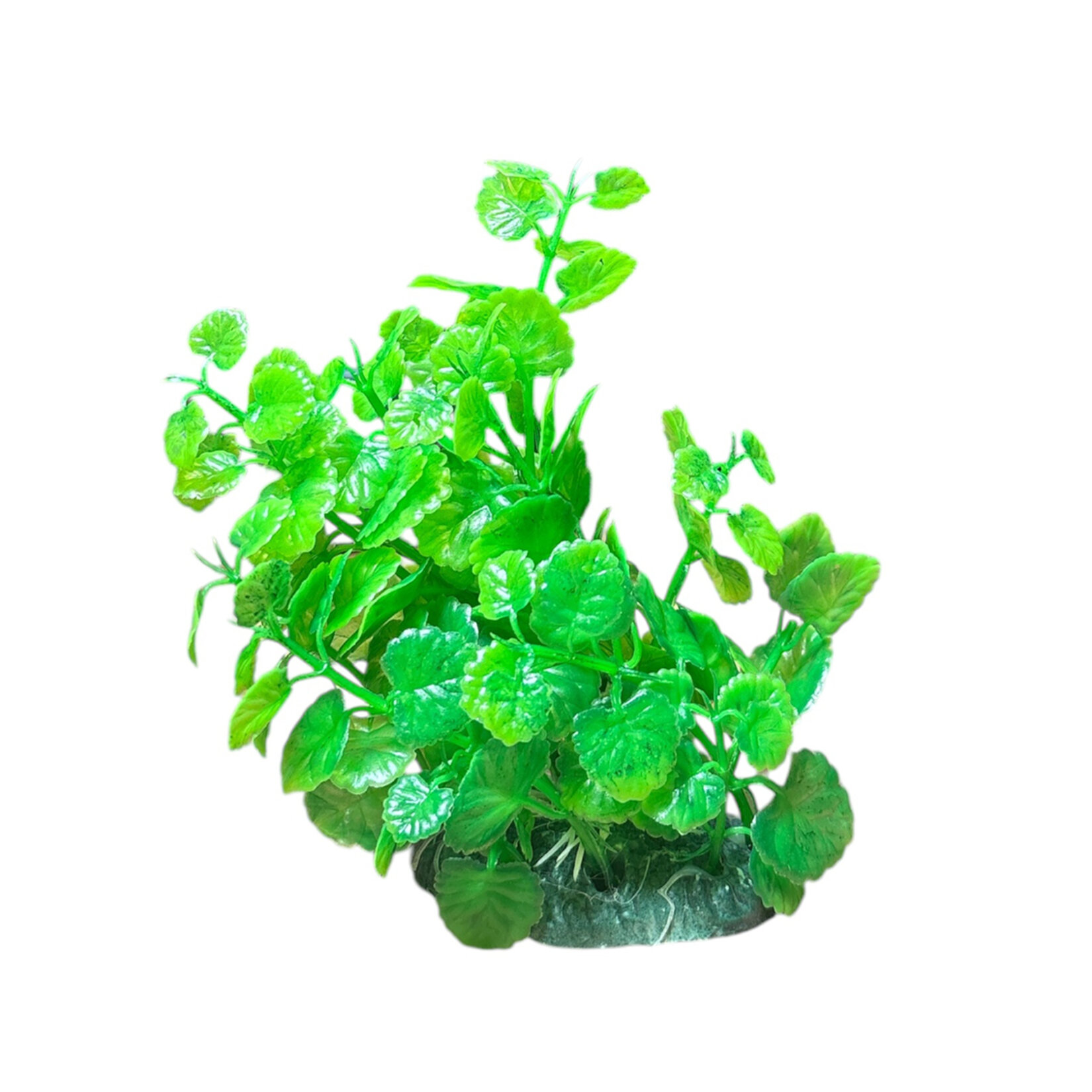 Fancy Fish Akvaryum Dekoru Platik Bitki M413 11 Cm