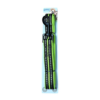 Pawise Reflektörlü Köpek Tasması 20Mm 120 Cm