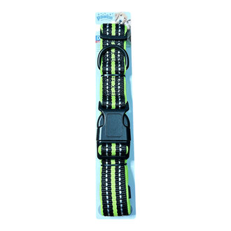 Pawise Reflektörlü Köpek Tasması Yeşil 45-65 Cm