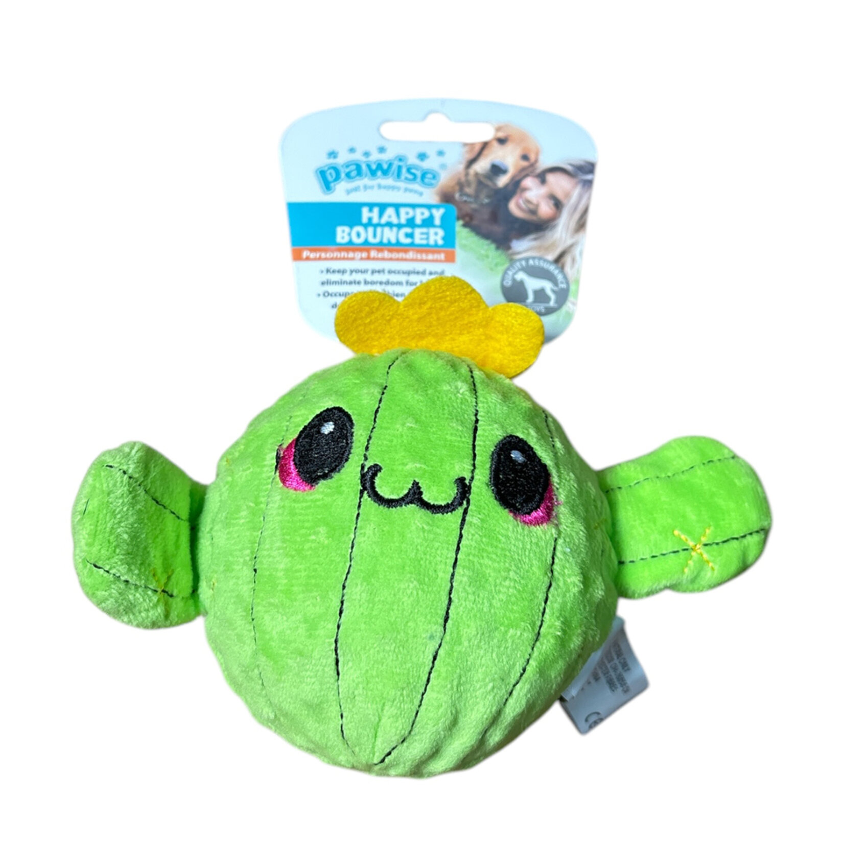 Pawise Happy Bouncer Oyuncak- Kaktüs