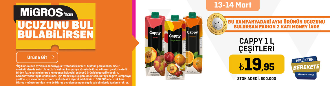 Cappy Meyve Suları Karton Kutu 1 L