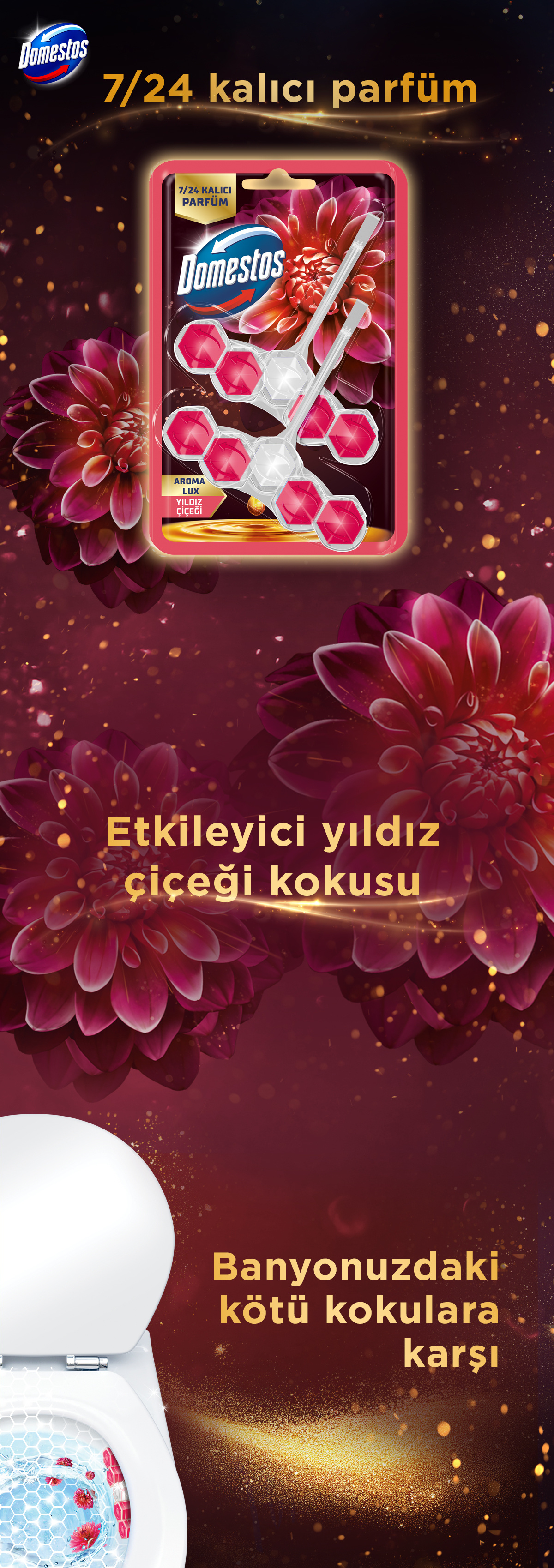 Ürün Detayı