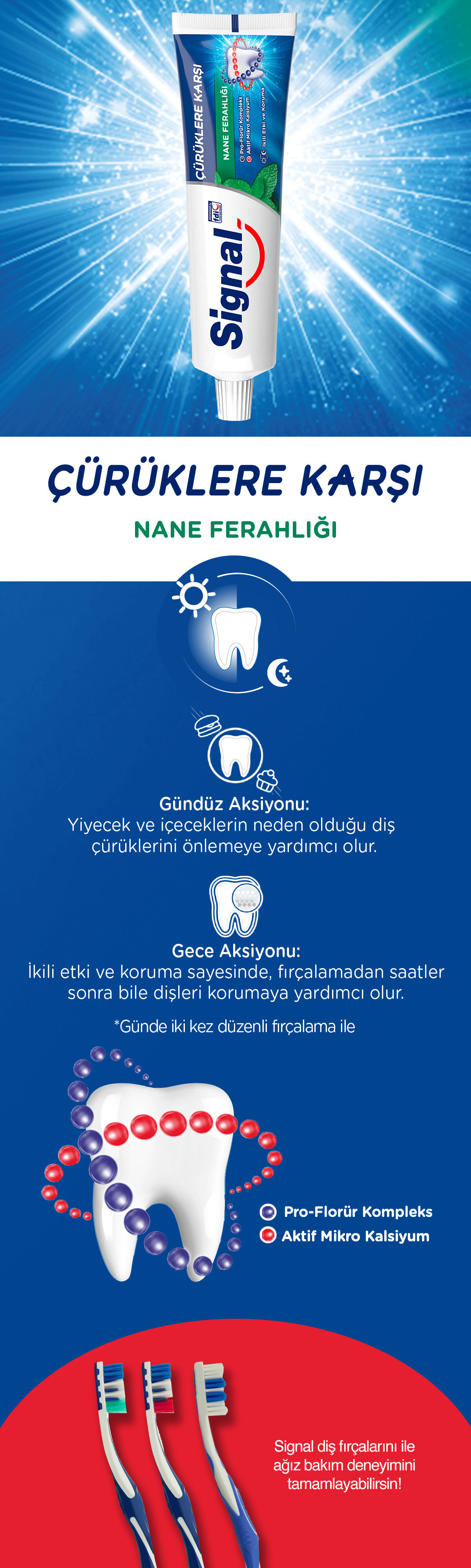 Ürün Detayı