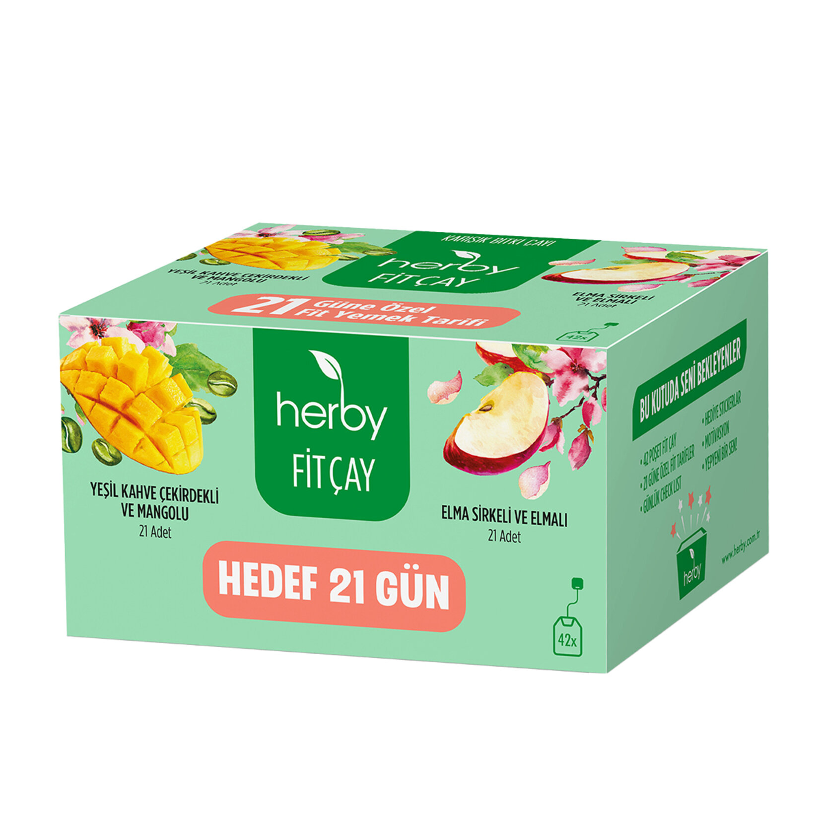 Herby Fit Çay Hedef 21 Gün Paketi Tarif Hediyeli - Görsel 1