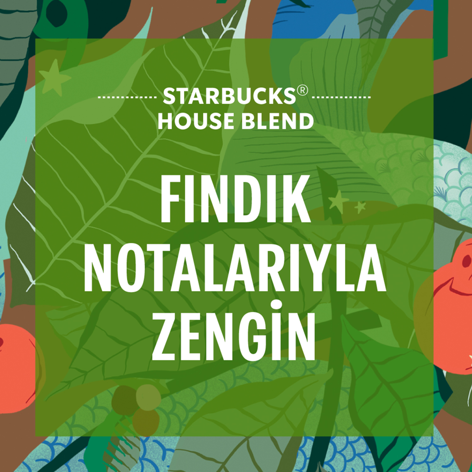 Starbucks House Blend Öğütülmüş Kahve 200 G - Görsel 5