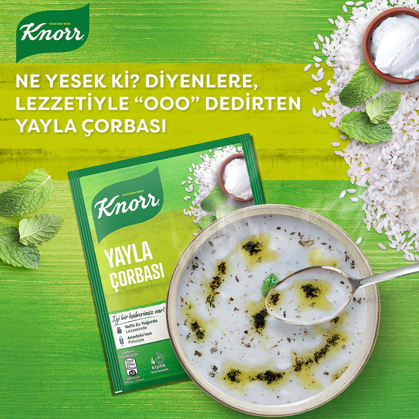 Knorr Yayla Çorbası 72 G - Görsel 3