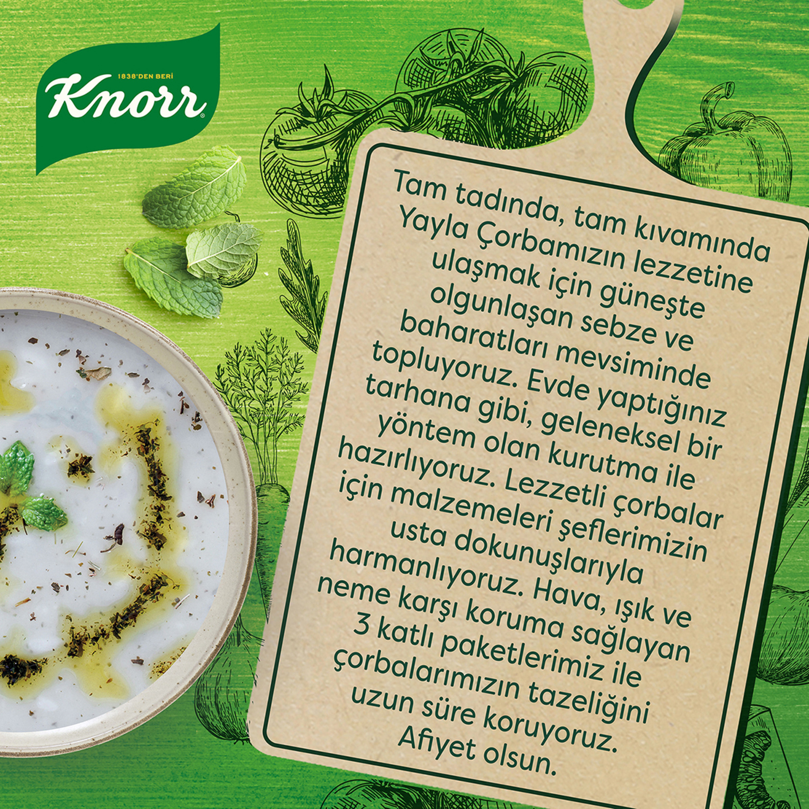 Knorr Yayla Çorbası 72 G - Görsel 4