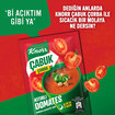 Knorr Çabuk Çorba Kıtırlı Domates 22 G - Görsel 4