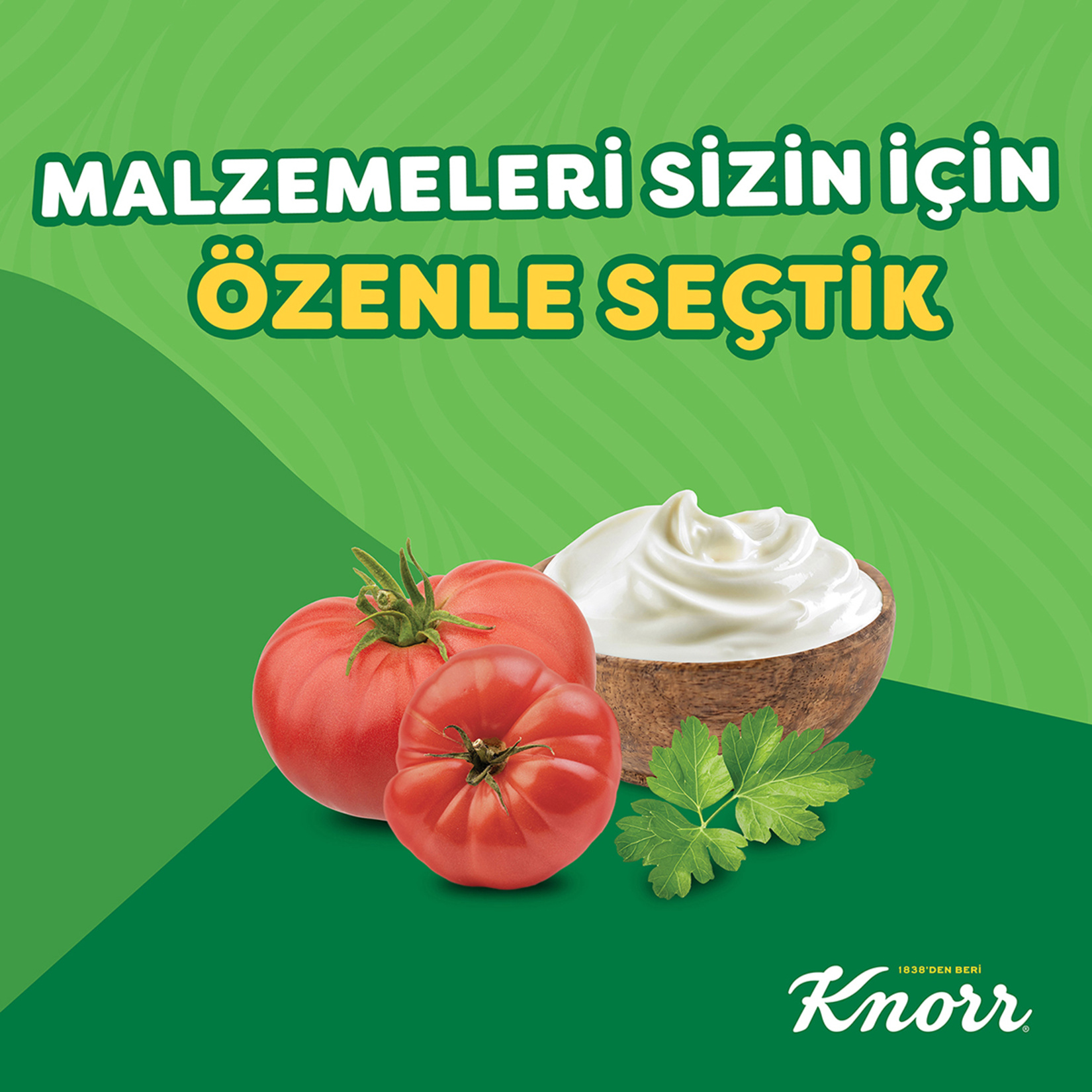 Knorr Kremalı Domates Çorbası 70 G - Görsel 4