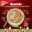 Kellogg's Granola Beyaz Çikolata Parçacığı & Antep Fıstıklı 60 G - Görsel 3