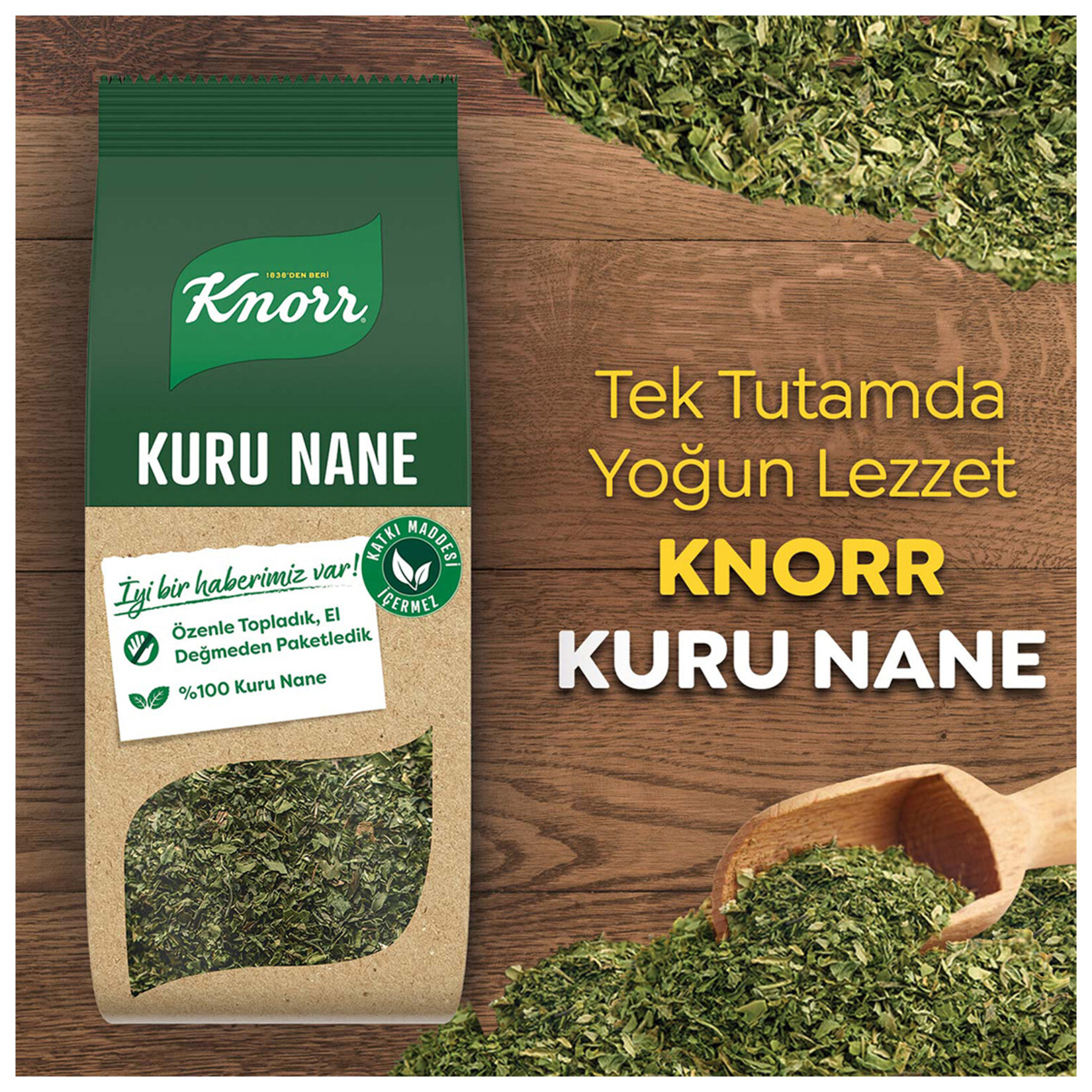 Knorr Baharat Serisi Kuru Nane 25 G - Görsel 3