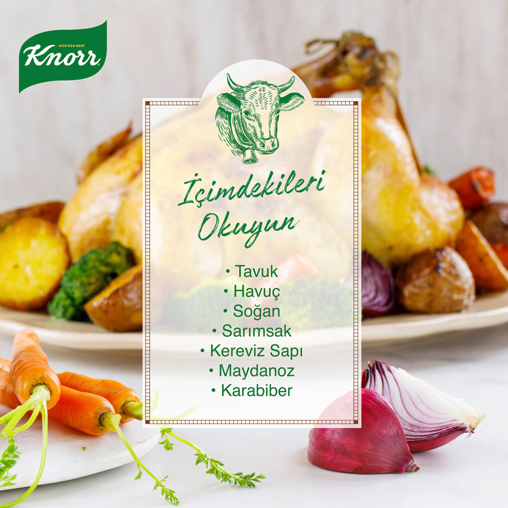 Knorr Tavuk Suyu Cam 480 Ml - Görsel 4