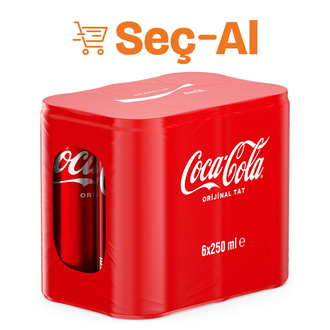 Coca-Cola Kutu 6 x 250 Ml