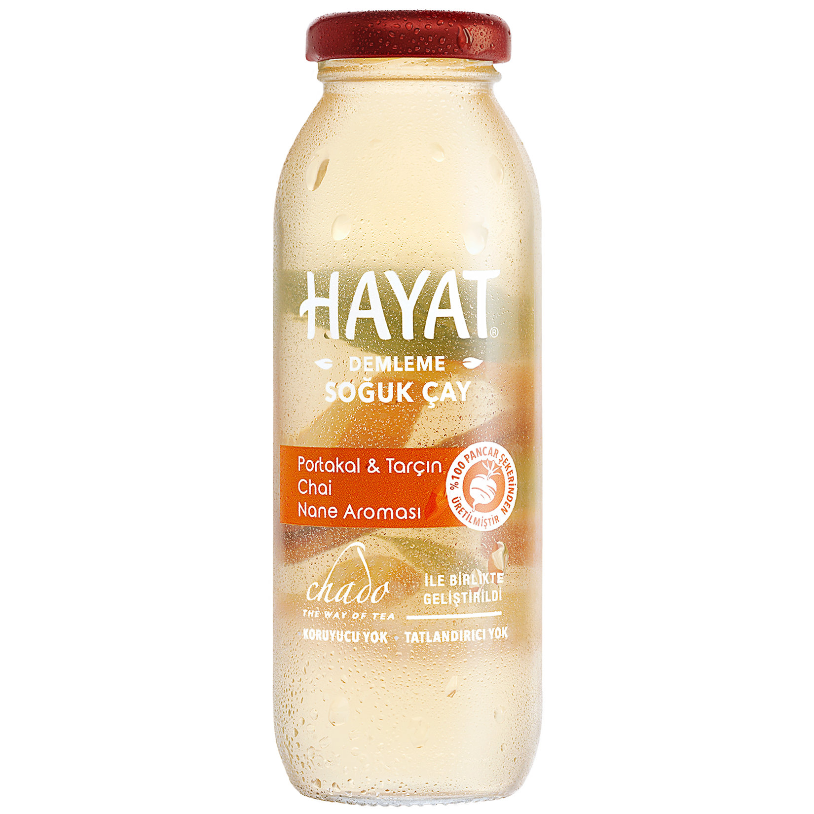Hayat Portakallı Tarçınlı Nane Aromalı İçecek 250 Ml