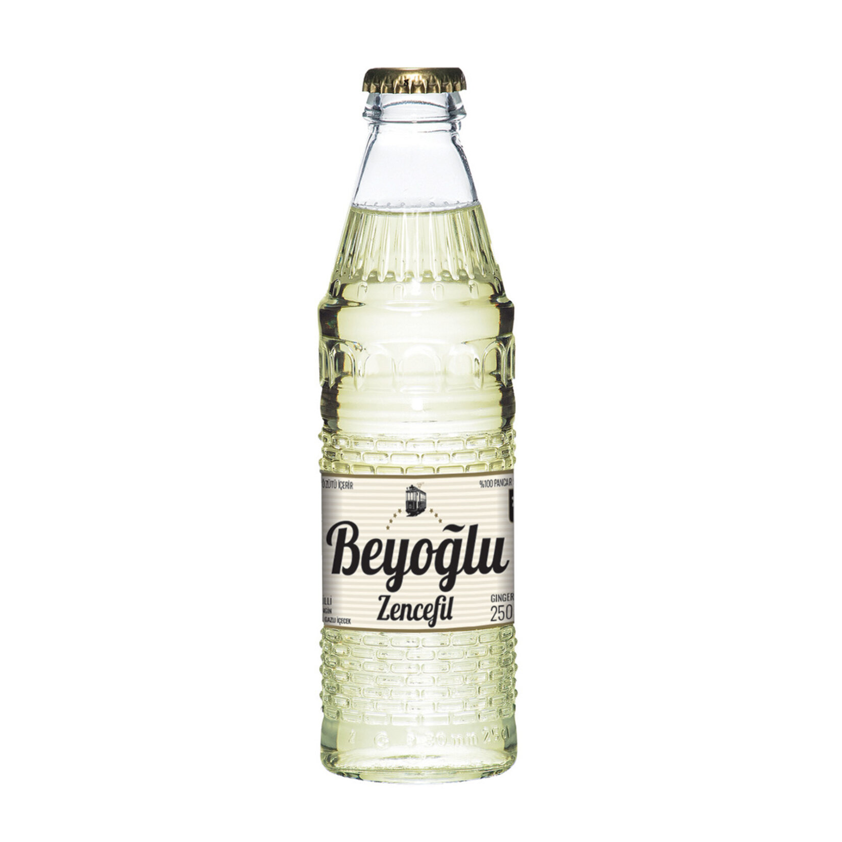Beyoğlu Zencefilli Doğal Zengin Mineral 250 Ml - Görsel 1