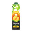 Cappy Kayısı Nektarı Karton Kutu 1 L - Görsel 2