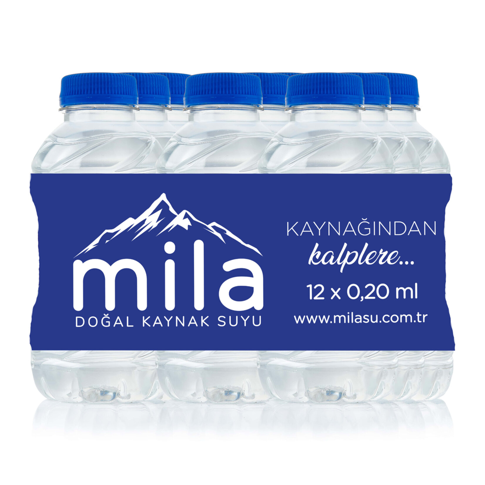 Mila Doğal Kaynak Suyu Pet 12 x 200 Ml