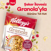 Kellogg's İlave Şekersiz Granola Turna Yemişi, Kabak Çekirdeği ve Kajulu 250 Gr - Görsel 3