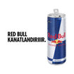 Red Bull Enerji İçeceği 6'lı Paket - 6X250 Ml - Görsel 2