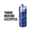 Red Bull Enerji İçeceği Yaban Mersini 250 Ml - Görsel 2