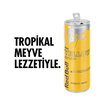 Red Bull Enerji İçeceği Tropikal Meyve 250 Ml - Görsel 2