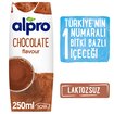 Alpro Soya İçeceği Kakaolu 250 Ml - Görsel 2