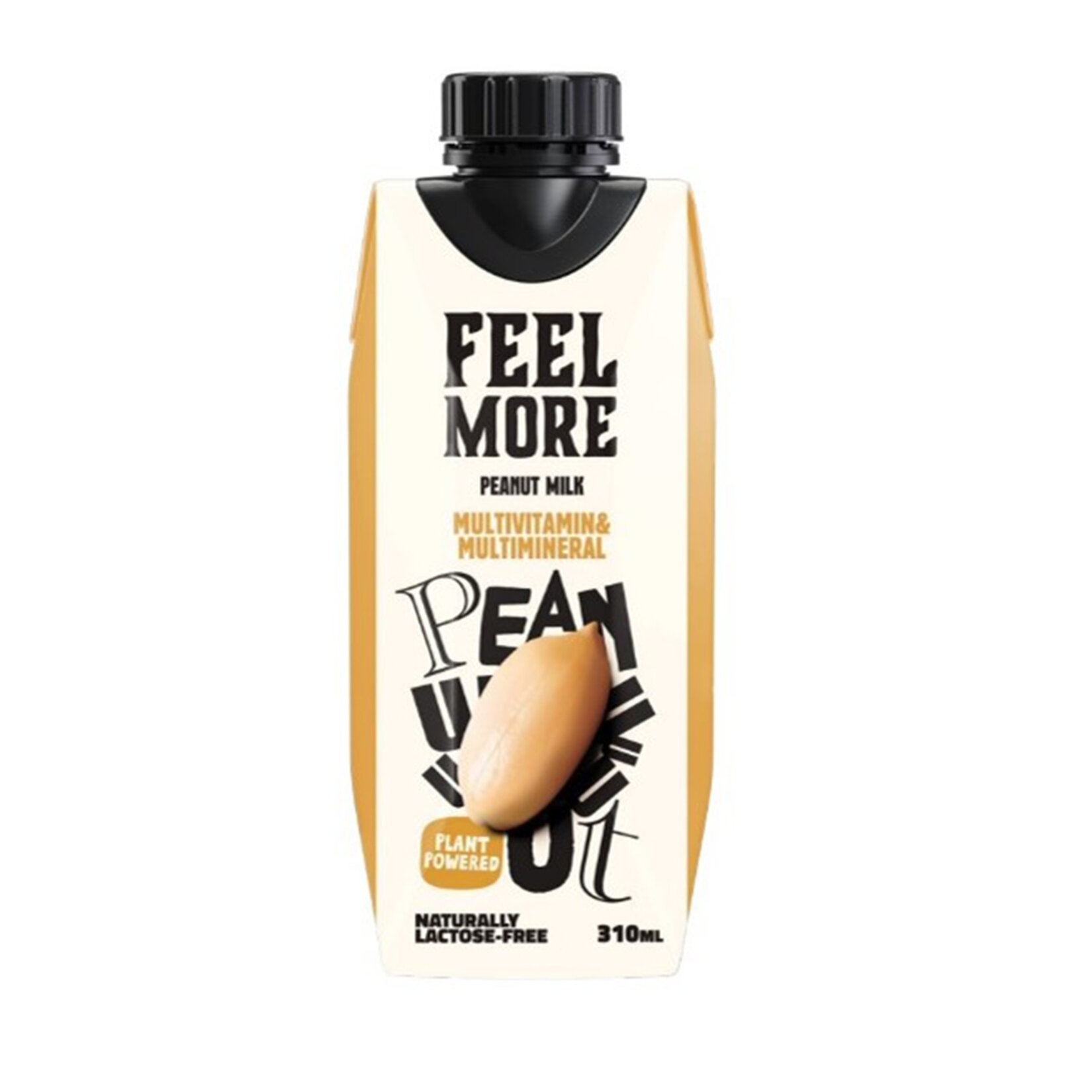 Feel More Yer Fıstıklı İçecek 310Ml
