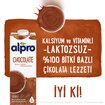 Alpro Soyalı İçecek Çikolatalı 1 L - Görsel 3