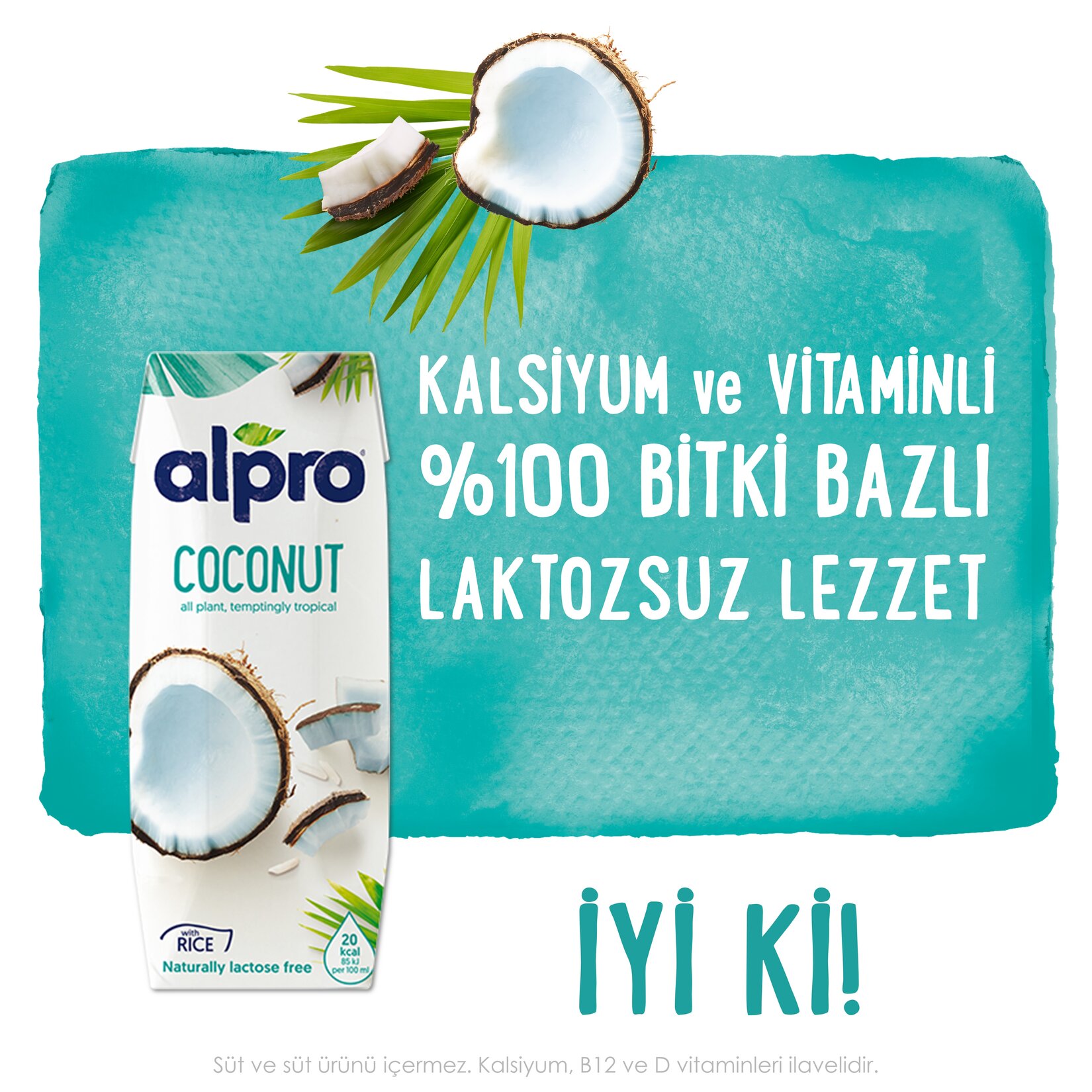 Alpro Pirinçli Hindistan Cevizi İçeceği 250 Ml - Görsel 3