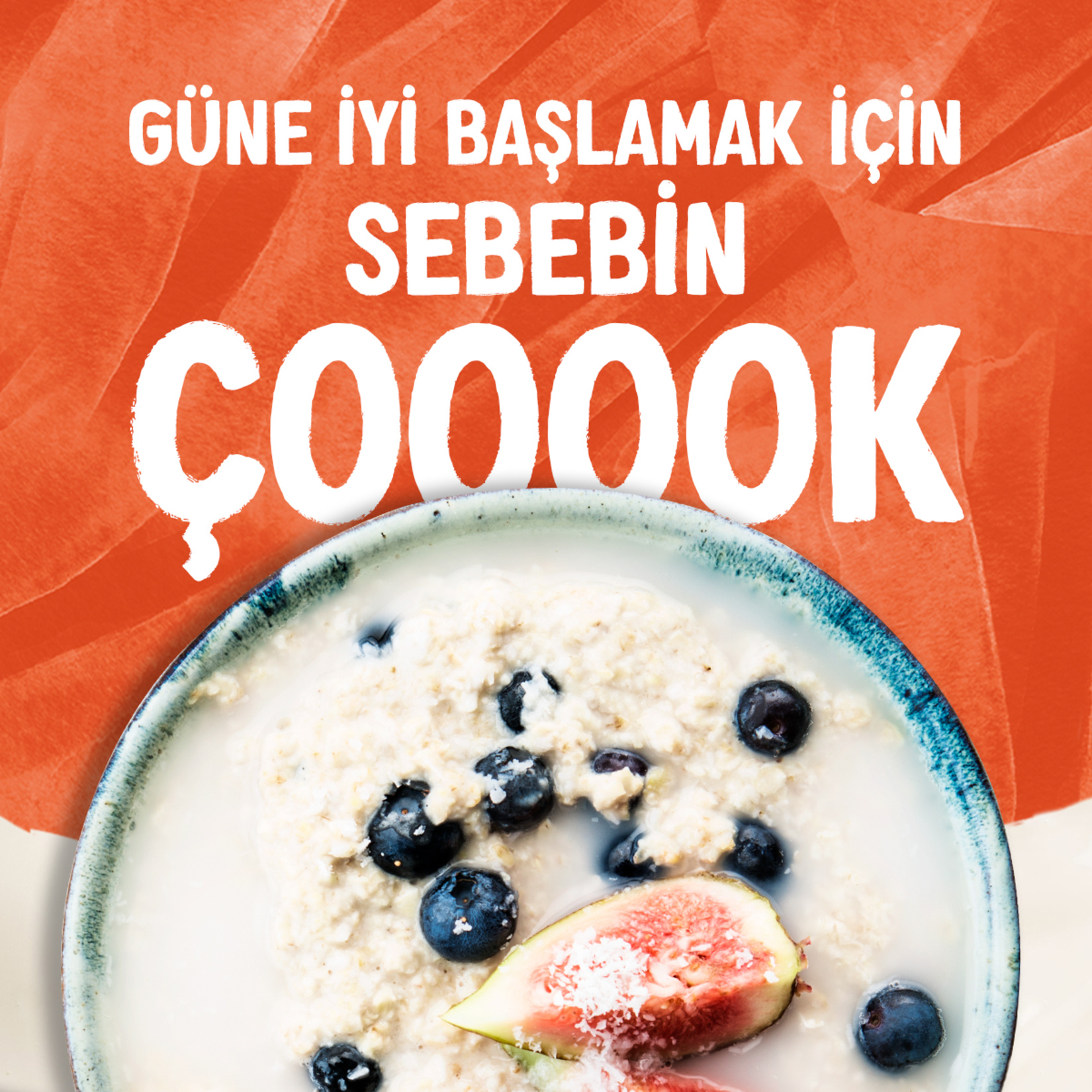 Alpro Hindistan Cevizi İçeceği Şekersiz 1 L - Görsel 5