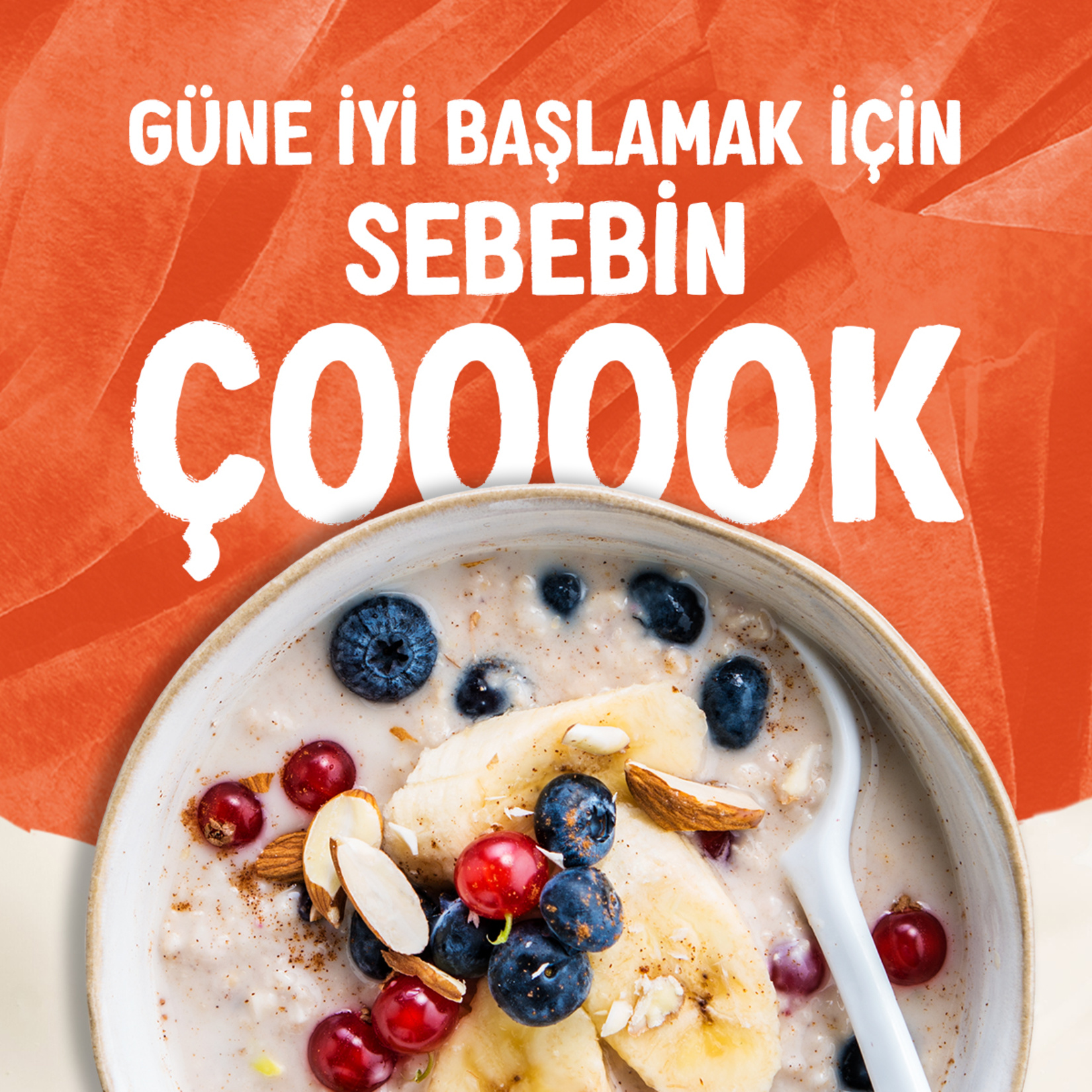 Alpro Şekersiz Yulaf İçeceği 1 L - Görsel 6