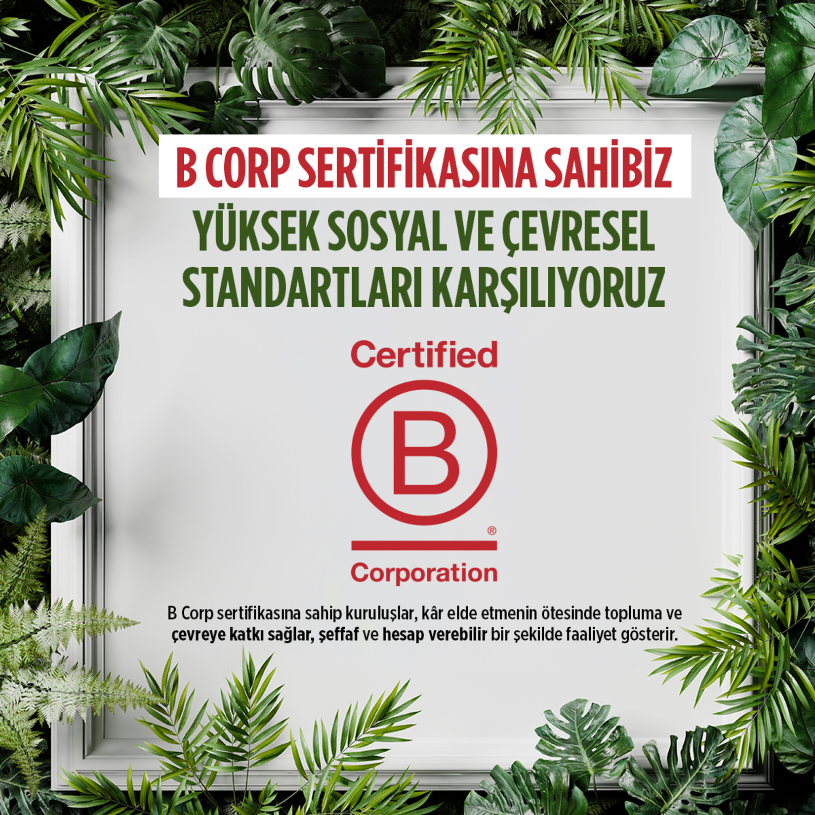Tikveşli Krema 200 Ml - Görsel 4