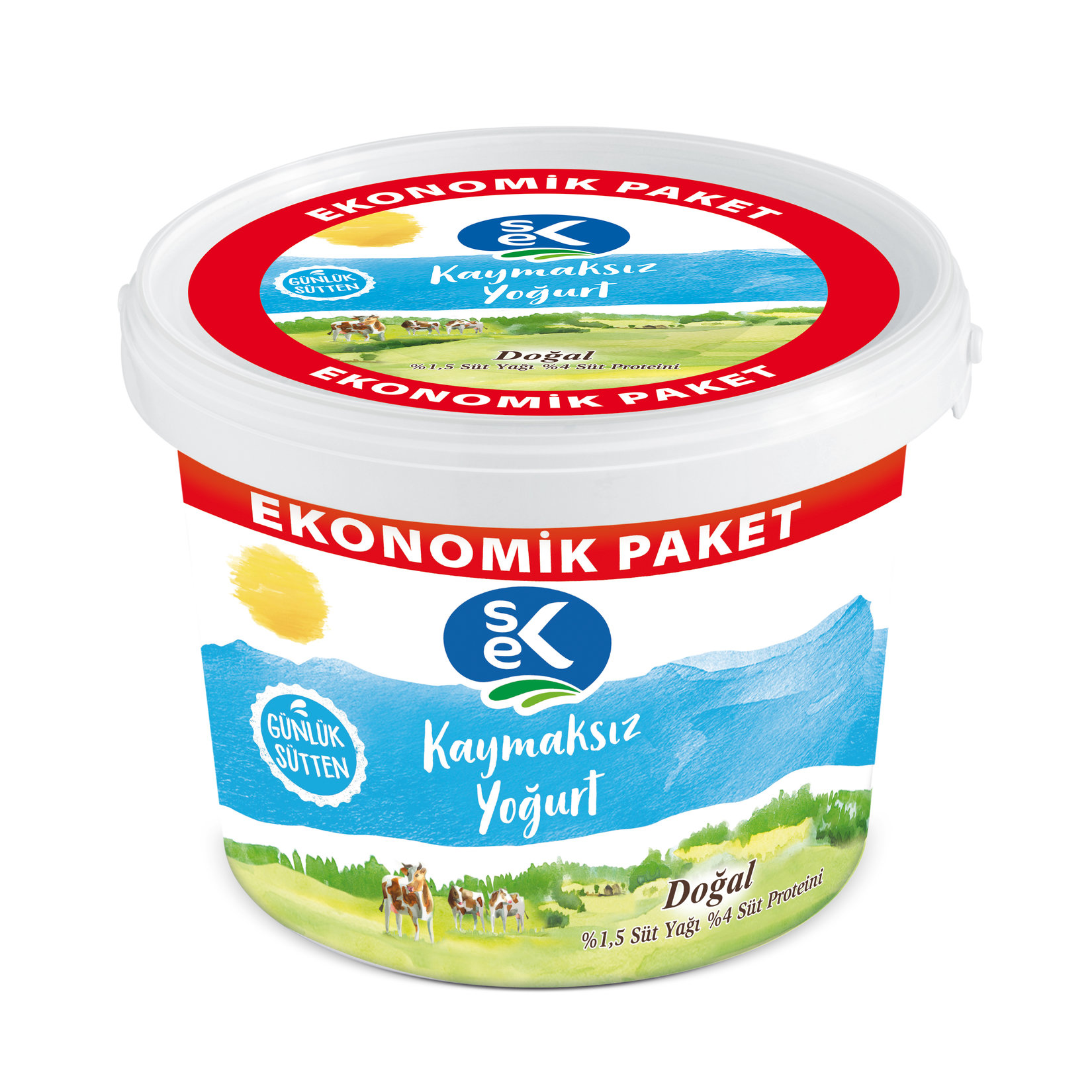 Sek Kaymaksız Yoğurt 3 Kg