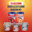 Danone Yoshake Mangonas 200 Ml - Görsel 5