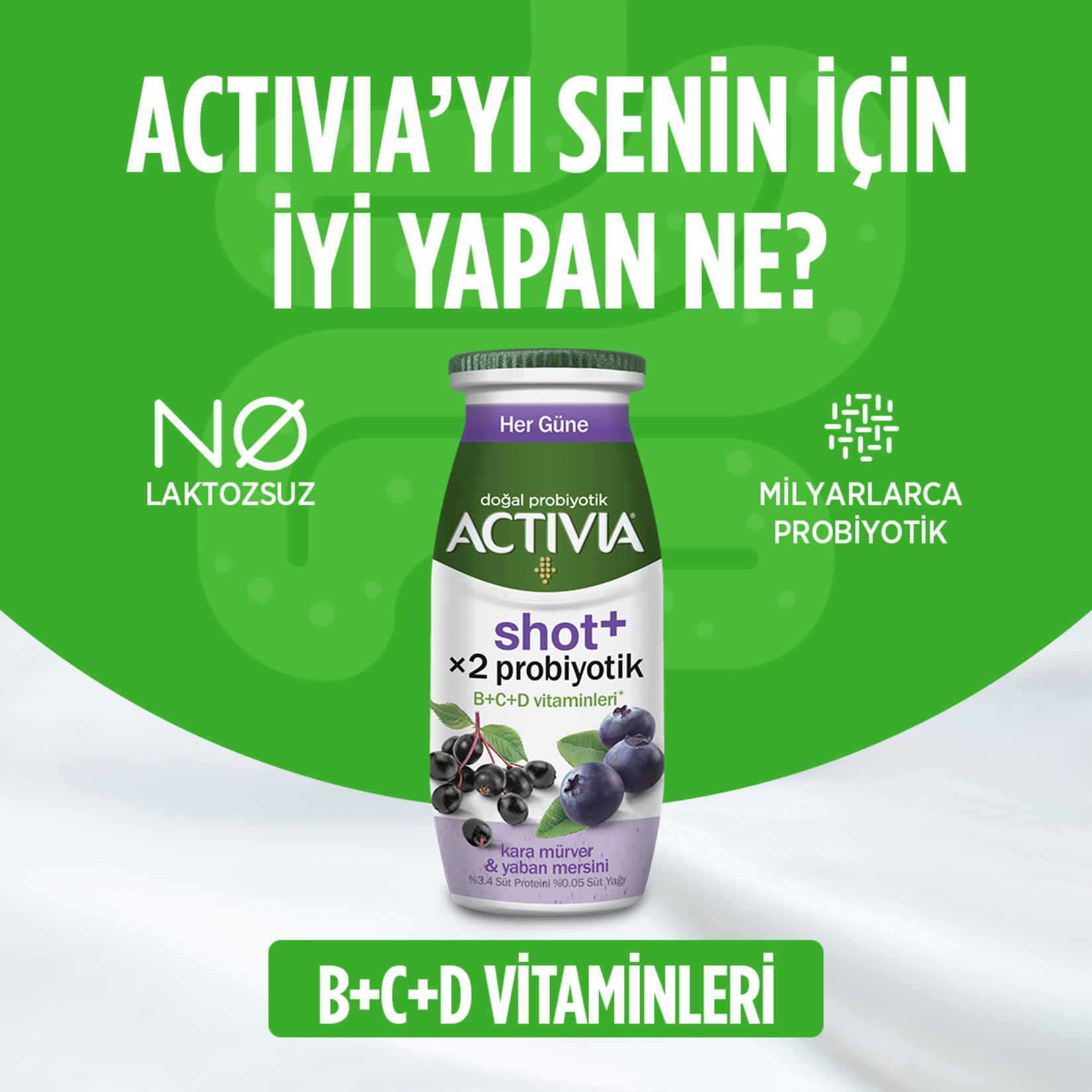 Activia Shot+ Kara Mürver Ve Yaban Mersinli 80 Ml - Görsel 2