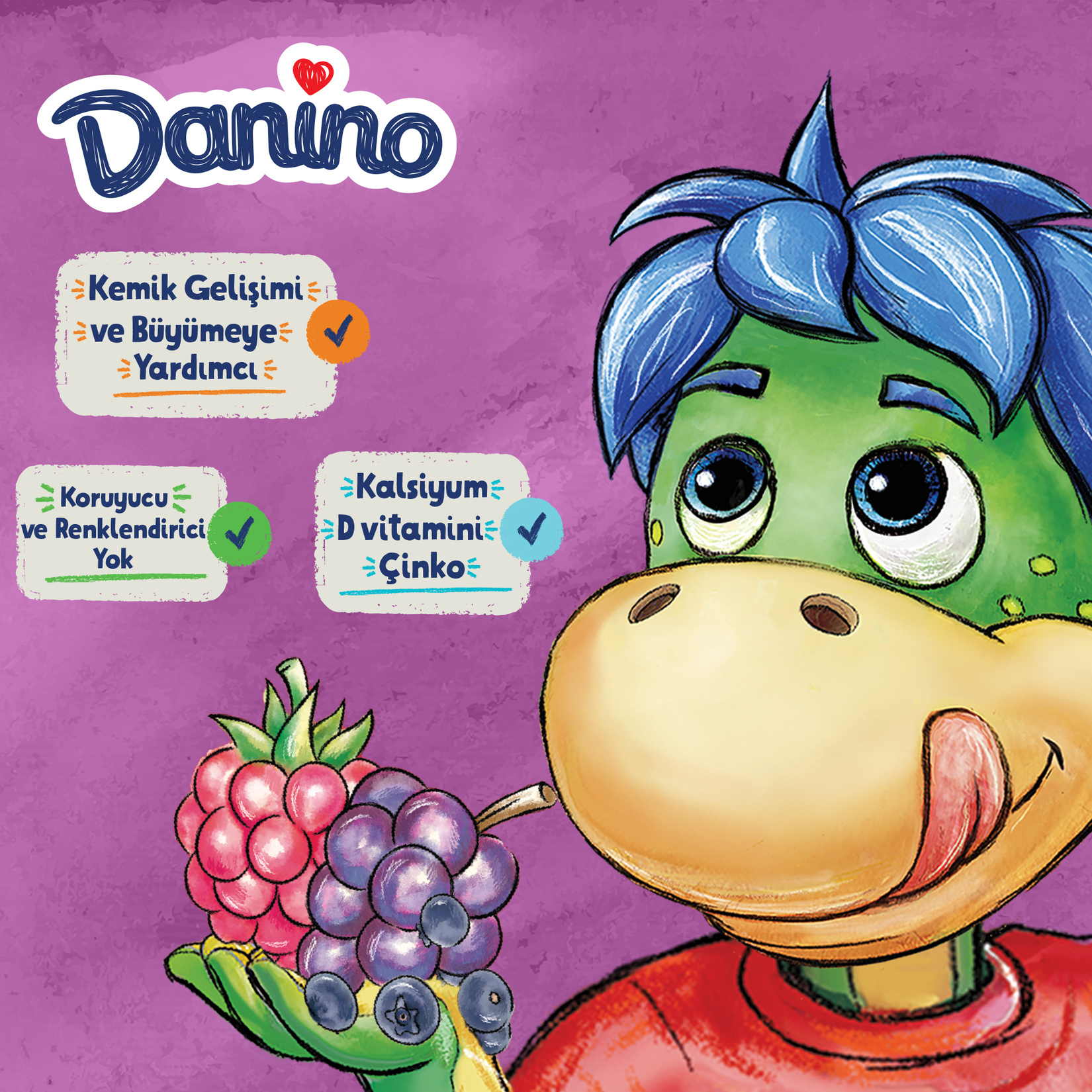 Danone Danino Orman Meyveli 6 x 40 G - Görsel 2