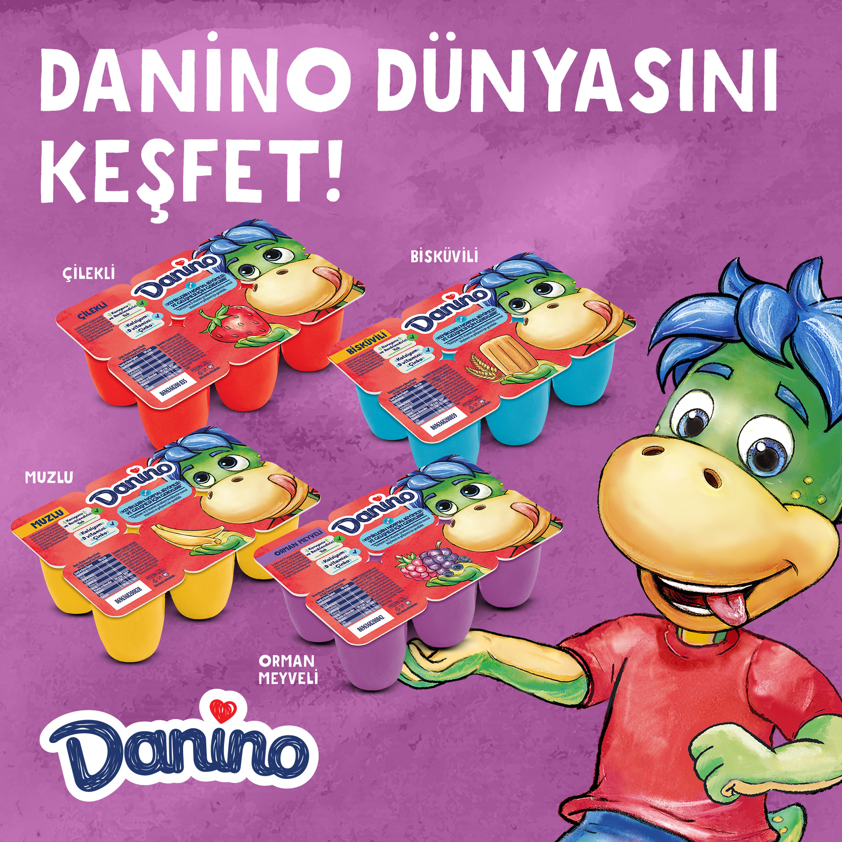 Danone Danino Orman Meyveli 6 x 40 G - Görsel 4