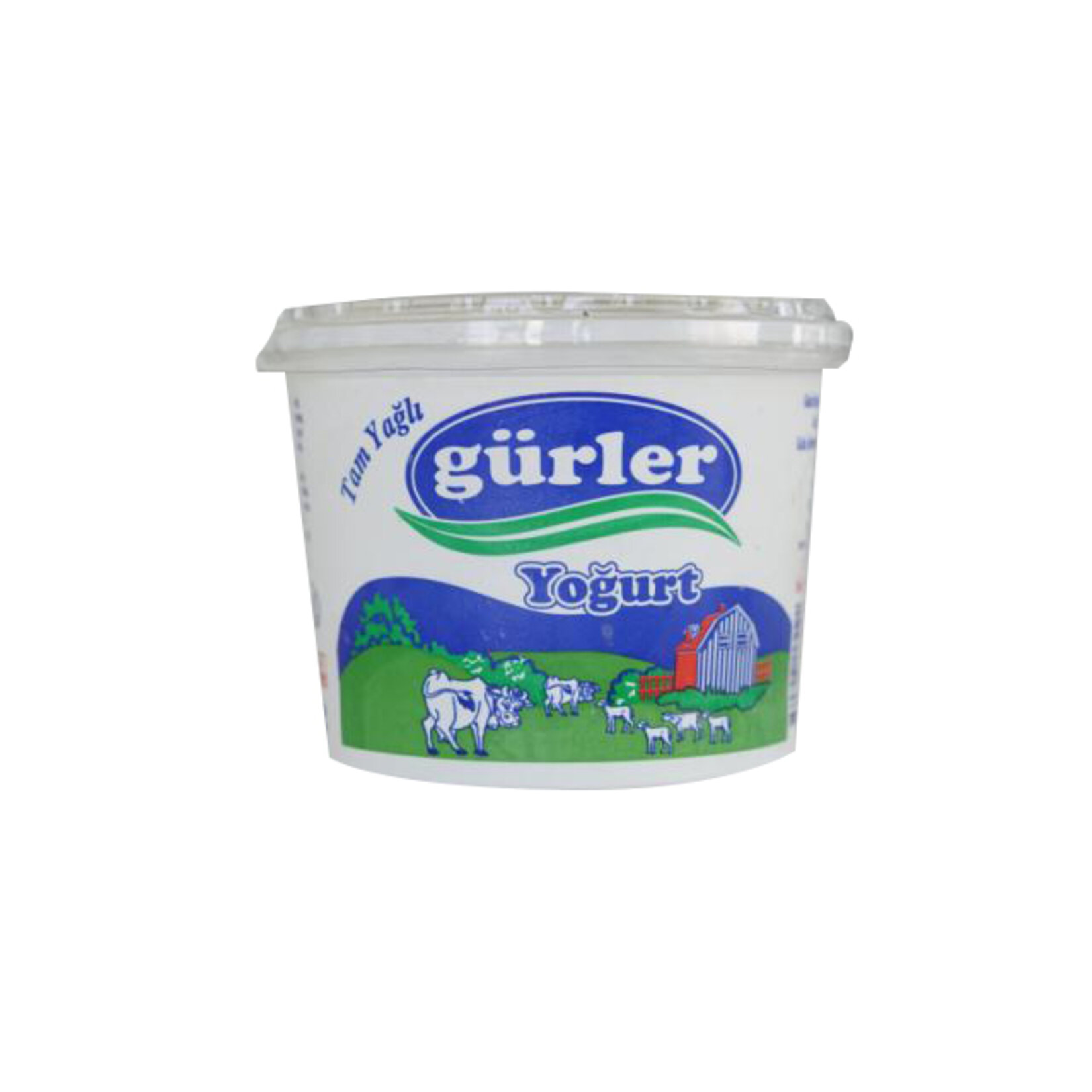 Gürler Yoğurt 800 G