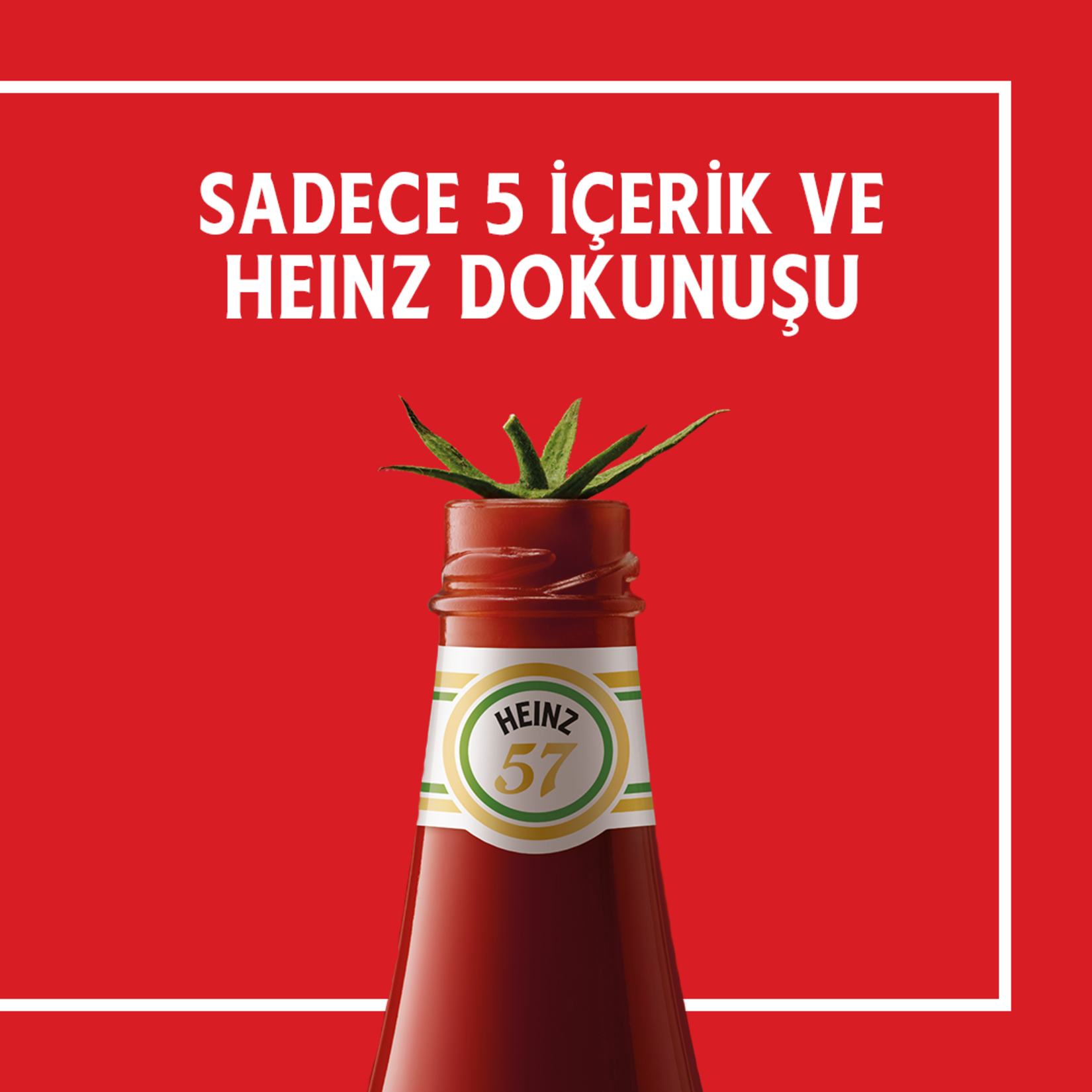 Heinz Ketçap 570 G - Görsel 5